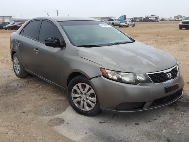 KIA FORTE EX 2012 knafu4a23c5557592