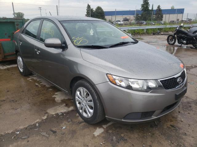 KIA FORTE EX 2012 knafu4a23c5606824