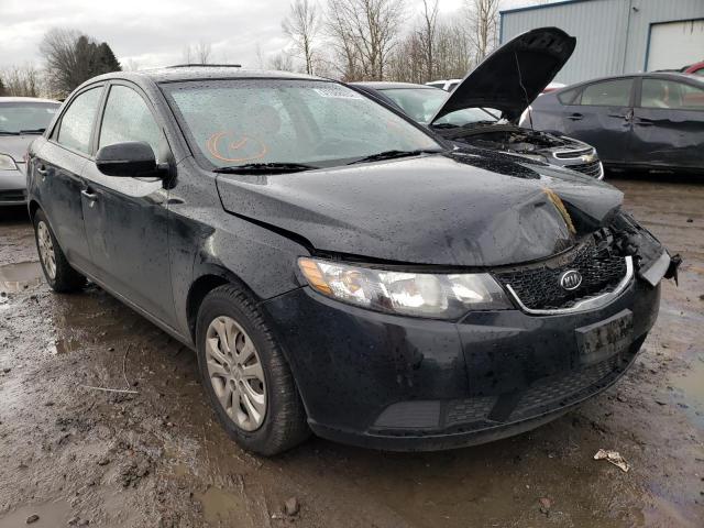 KIA FORTE EX 2012 knafu4a23c5623719