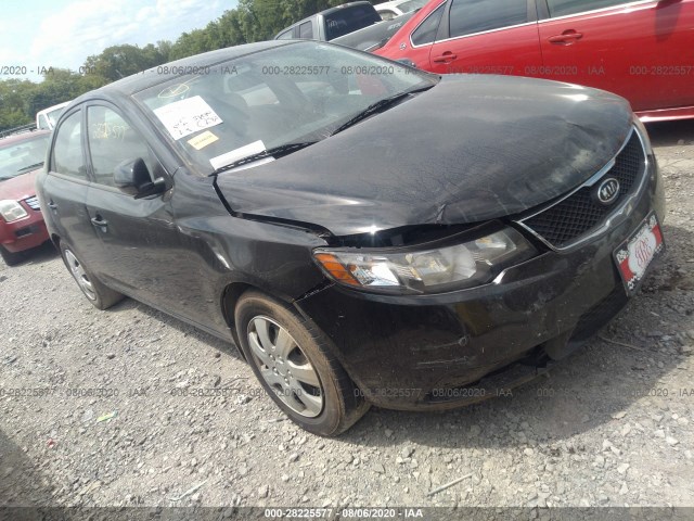 KIA FORTE 2012 knafu4a23c5624093