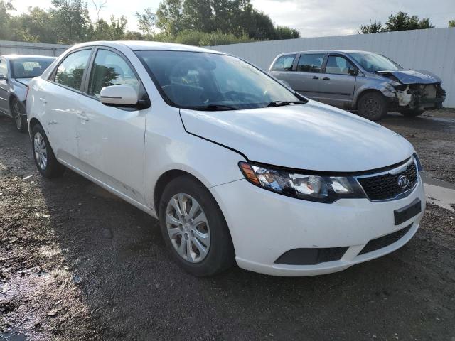 KIA FORTE 2012 knafu4a23c5624613