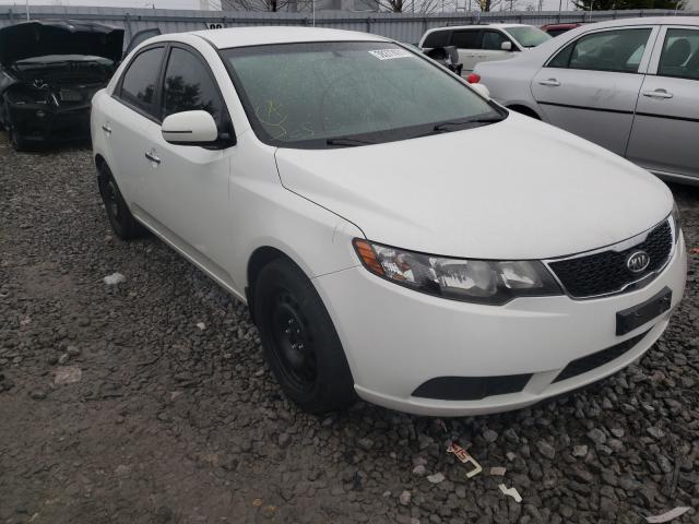 KIA FORTE EX 2012 knafu4a23c5634834