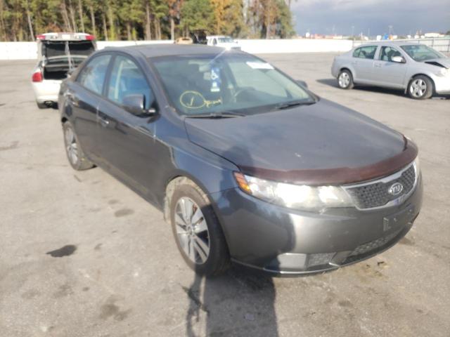 KIA FORTE EX 2013 knafu4a23d5687230