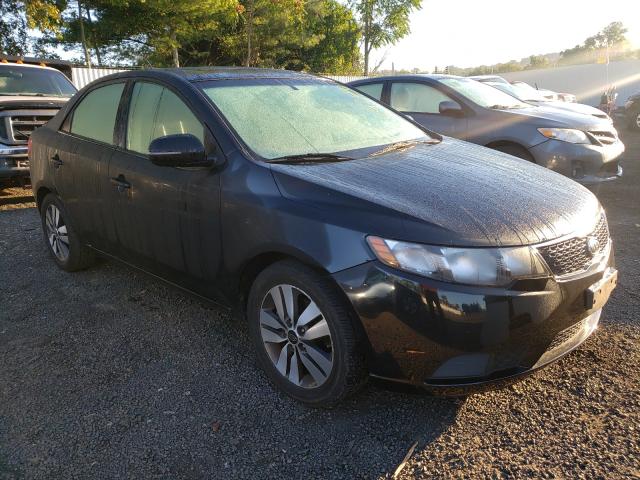 KIA FORTE EX 2013 knafu4a23d5687504