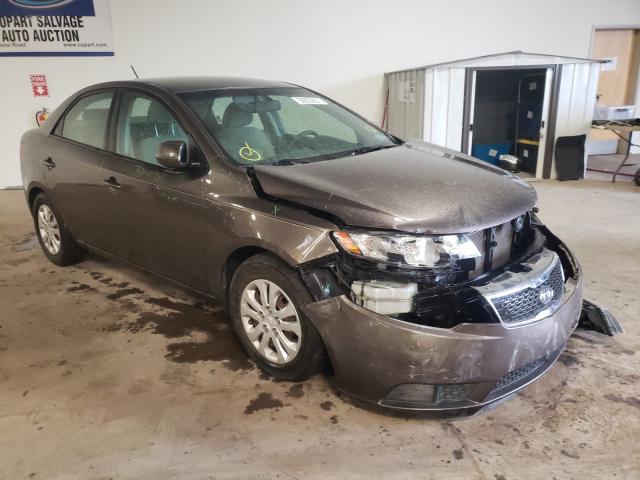 KIA FORTE EX 2013 knafu4a23d5692623