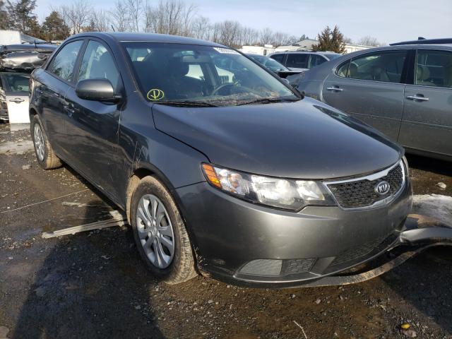 KIA FORTE EX 2013 knafu4a23d5698566