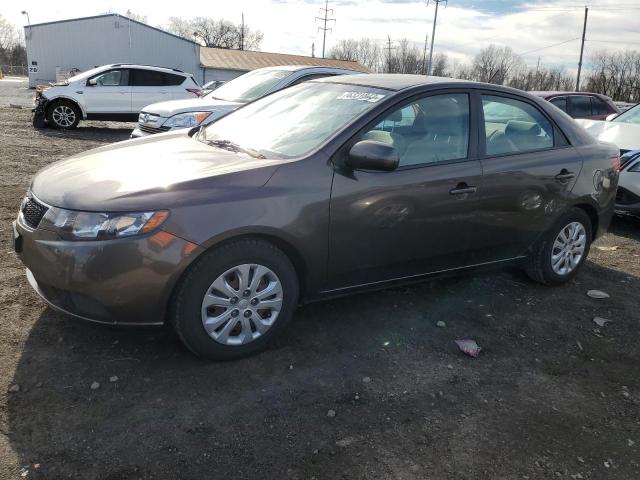 KIA FORTE 2013 knafu4a23d5702163