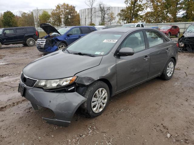 KIA FORTE EX 2013 knafu4a23d5726494