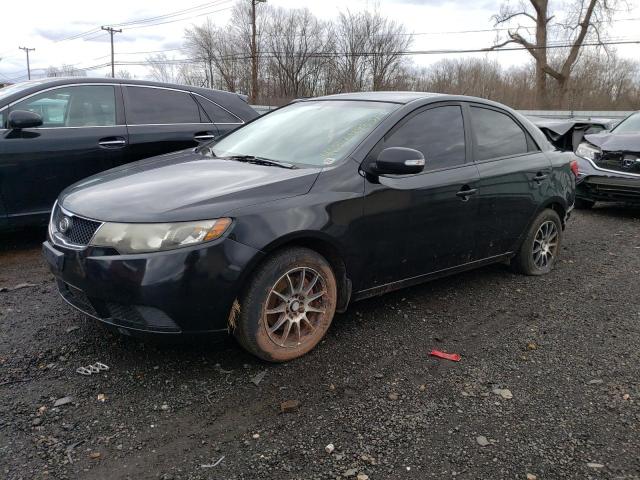 KIA FORTE EX 2010 knafu4a24a5047801