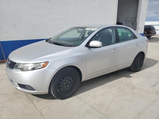 KIA FORTE 2010 knafu4a24a5049709