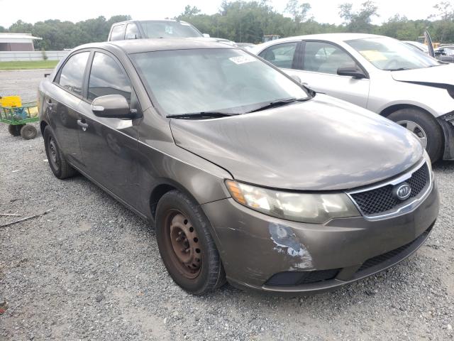 KIA FORTE EX 2010 knafu4a24a5058734