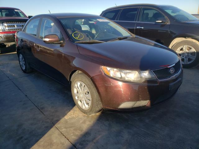 KIA FORTE EX 2010 knafu4a24a5063111