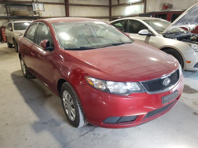 KIA FORTE EX 2010 knafu4a24a5063481