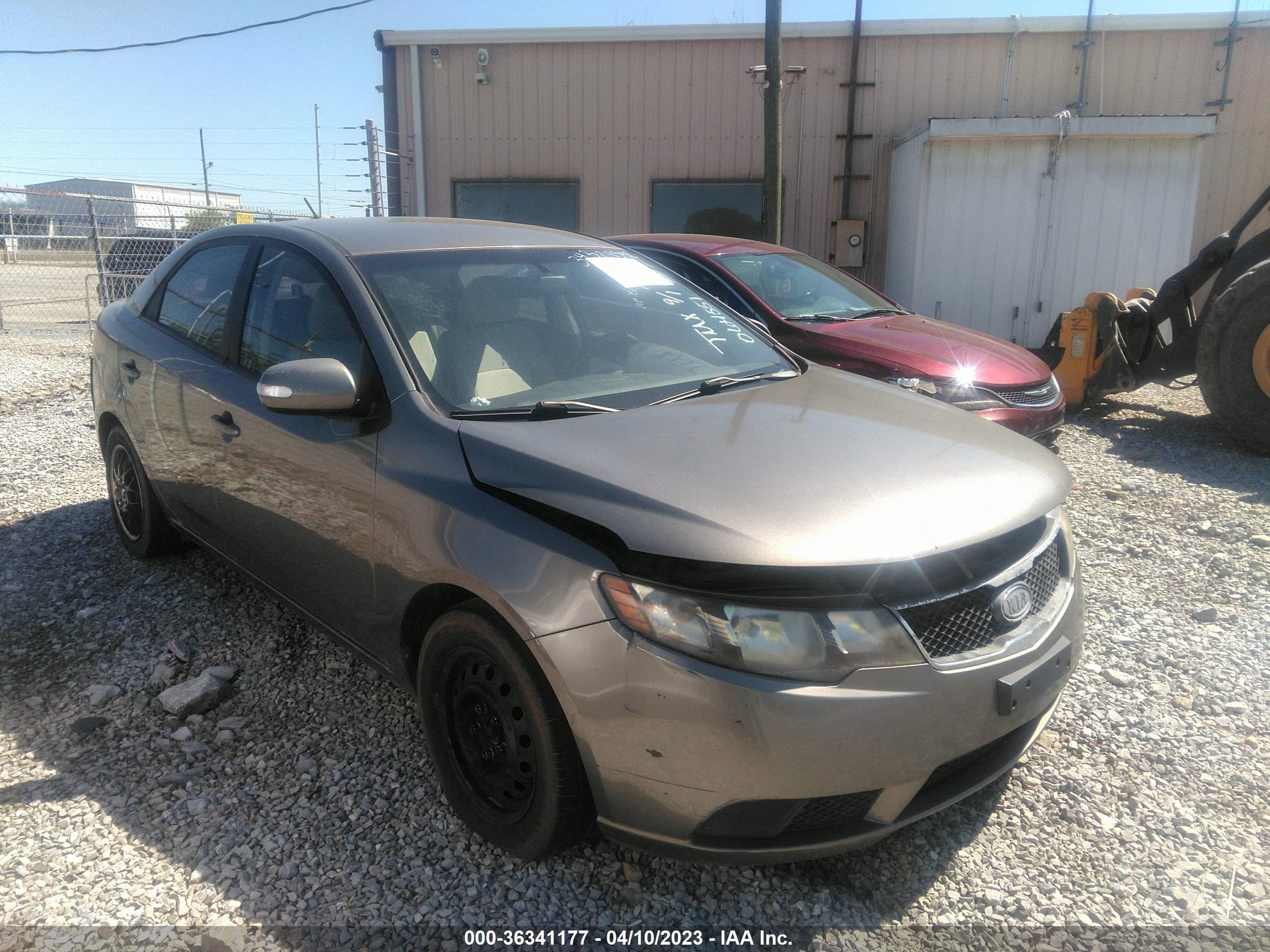 KIA FORTE 2010 knafu4a24a5064551