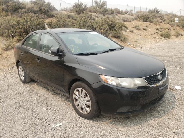 KIA FORTE EX 2010 knafu4a24a5104563