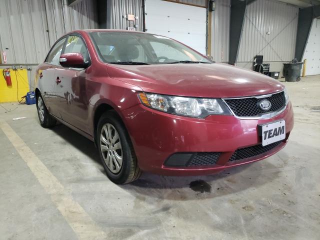 KIA FORTE EX 2010 knafu4a24a5107267