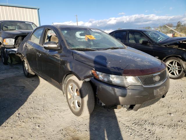 KIA FORTE EX 2010 knafu4a24a5109357