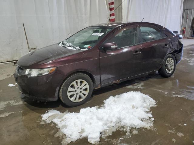 KIA FORTE 2010 knafu4a24a5131987