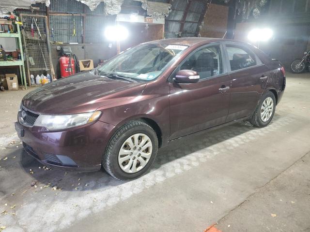 KIA FORTE EX 2010 knafu4a24a5131990