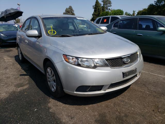 KIA FORTE EX 2010 knafu4a24a5142388