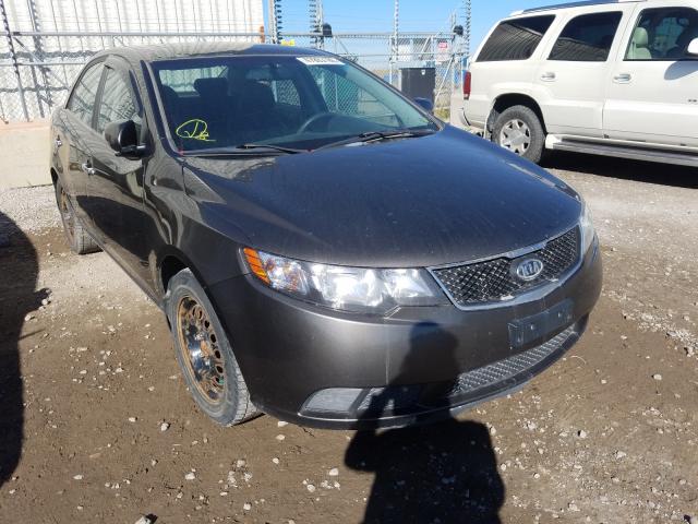 KIA FORTE EX 2010 knafu4a24a5152340