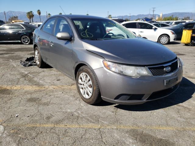 KIA FORTE EX 2010 knafu4a24a5158087