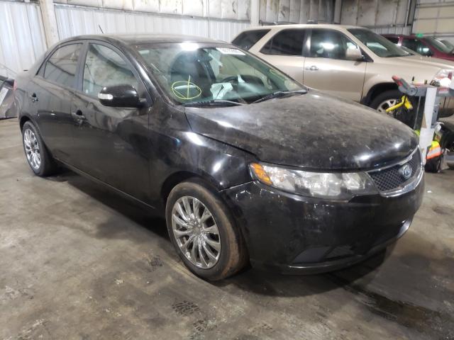 KIA FORTE EX 2010 knafu4a24a5159420