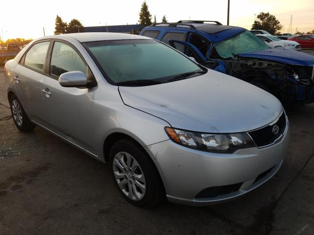 KIA FORTE EX 2010 knafu4a24a5164729