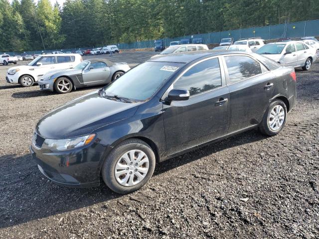 KIA FORTE EX 2010 knafu4a24a5166075