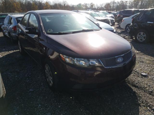 KIA FORTE EX 2010 knafu4a24a5169400