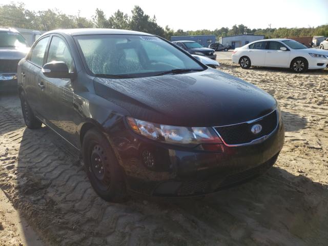 KIA FORTE EX 2010 knafu4a24a5170093