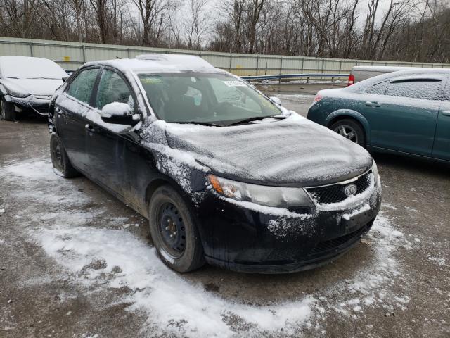 KIA FORTE 2010 knafu4a24a5193647