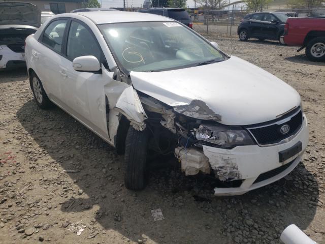 KIA FORTE EX 2010 knafu4a24a5199691