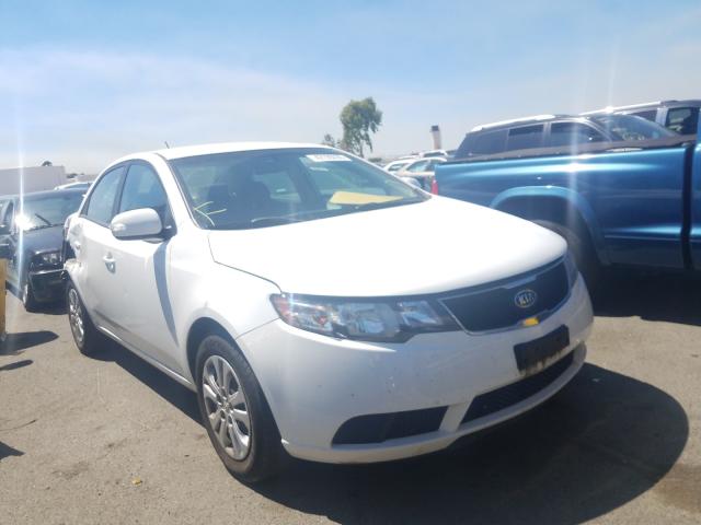 KIA FORTE EX 2010 knafu4a24a5204985