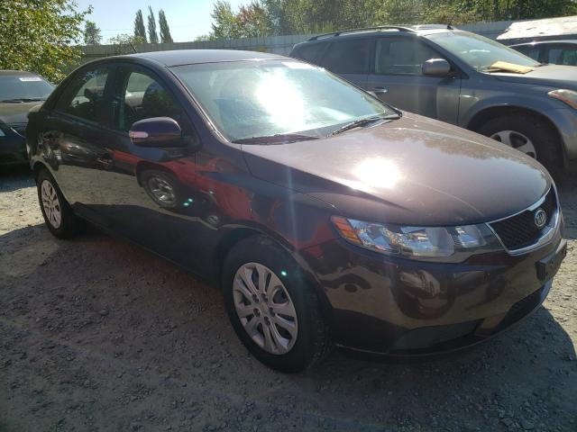 KIA FORTE EX 2010 knafu4a24a5208356