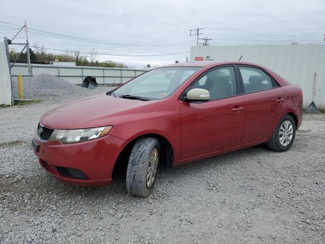 KIA FORTE 2010 knafu4a24a5221995