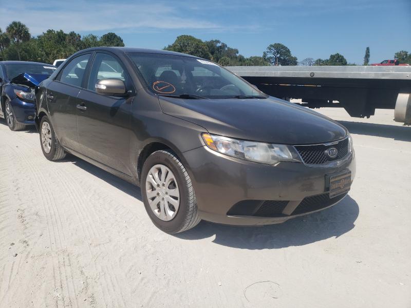 KIA FORTE EX 2010 knafu4a24a5224735