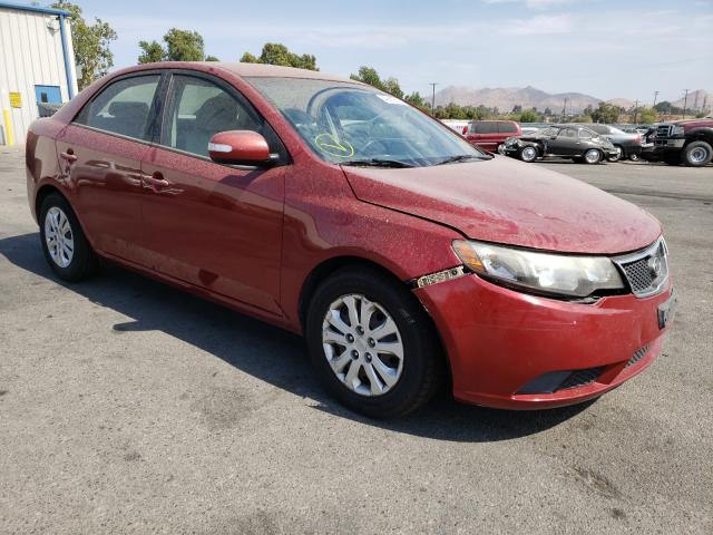 KIA FORTE EX 2010 knafu4a24a5233726