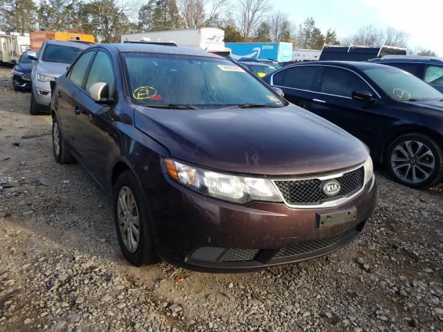 KIA FORTE EX 2010 knafu4a24a5236092