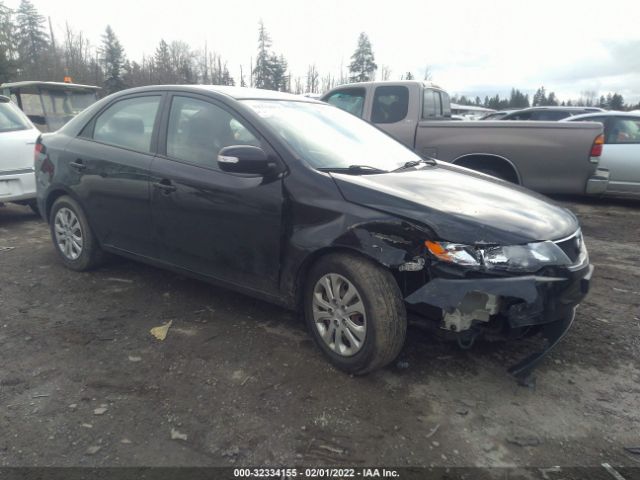 KIA FORTE 2010 knafu4a24a5243379