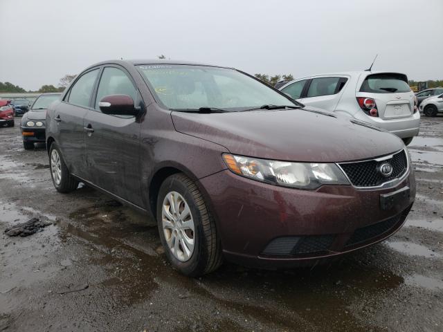 KIA FORTE EX 2010 knafu4a24a5282151