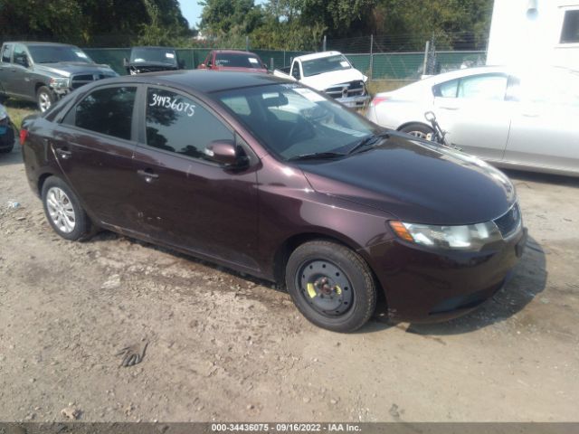 KIA FORTE 2010 knafu4a24a5284417