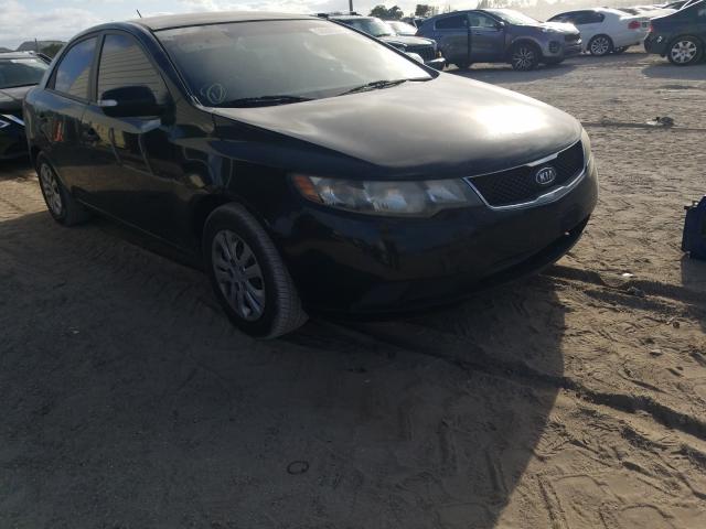 KIA FORTE 2010 knafu4a24a5285874