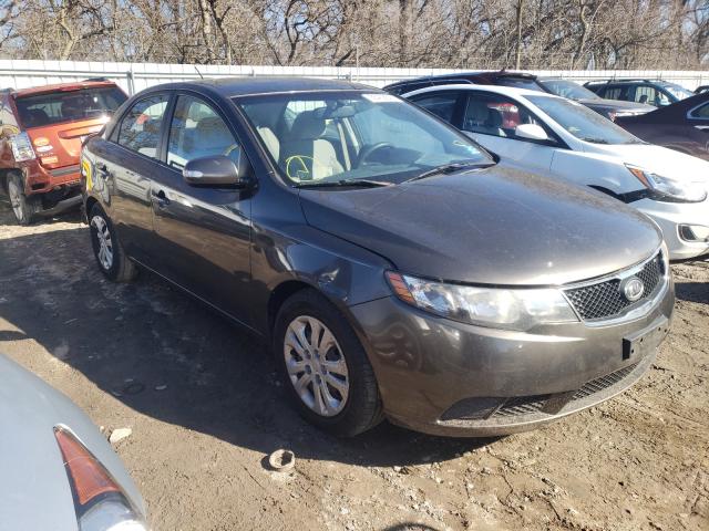 KIA FORTE EX 2010 knafu4a24a5299287