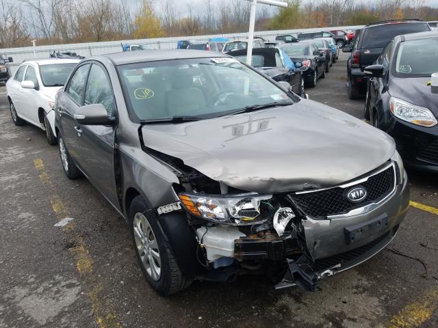 KIA FORTE EX 2010 knafu4a24a5301703