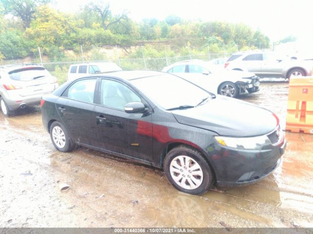 KIA FORTE 2010 knafu4a24a5808181