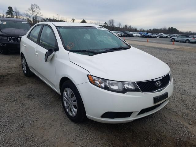 KIA FORTE EX 2010 knafu4a24a5810559