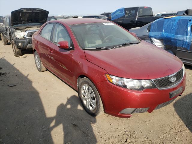 KIA FORTE EX 2010 knafu4a24a5813767