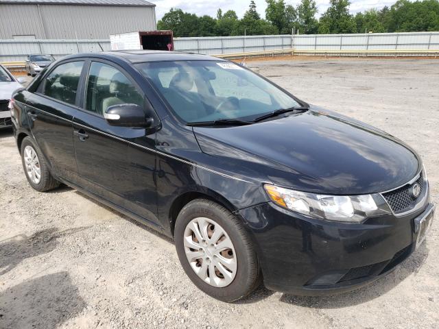 KIA FORTE EX 2010 knafu4a24a5815874