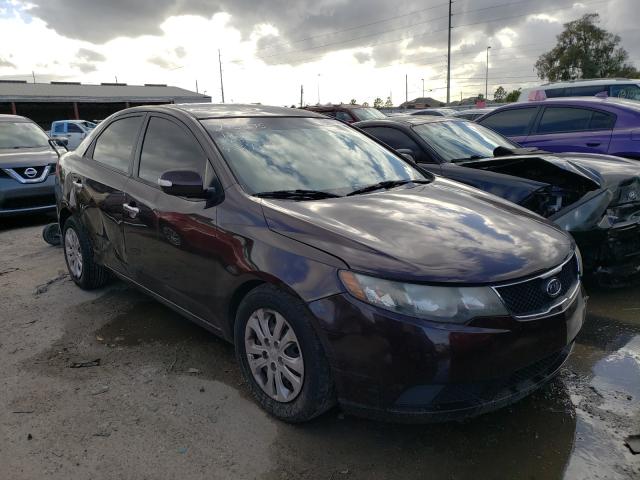 KIA FORTE EX 2010 knafu4a24a5834277